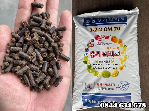 phan-ga-huu-co-han-quoc