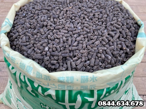 phan-ga-huu-co-nhat-ban-vien-no-nhat