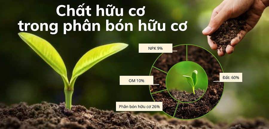 Chất hữu cơ trong phân bón hữu cơ