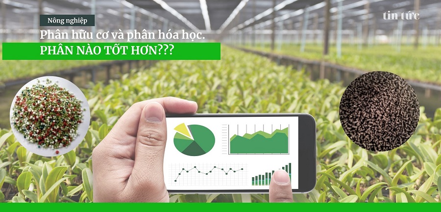 Phân Hữu Cơ và Phân Hóa Học - Phân nào tốt hơn?